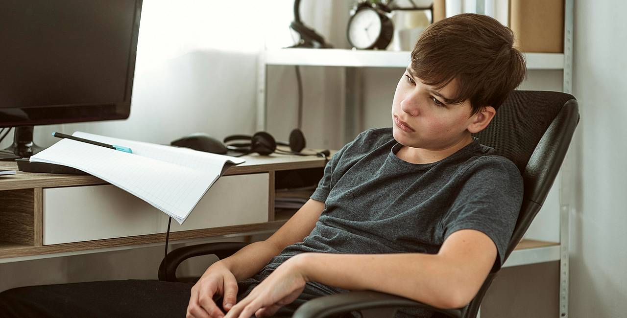 loneliness-reward-seeking